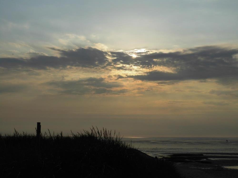 Frische-brise-08-02 *